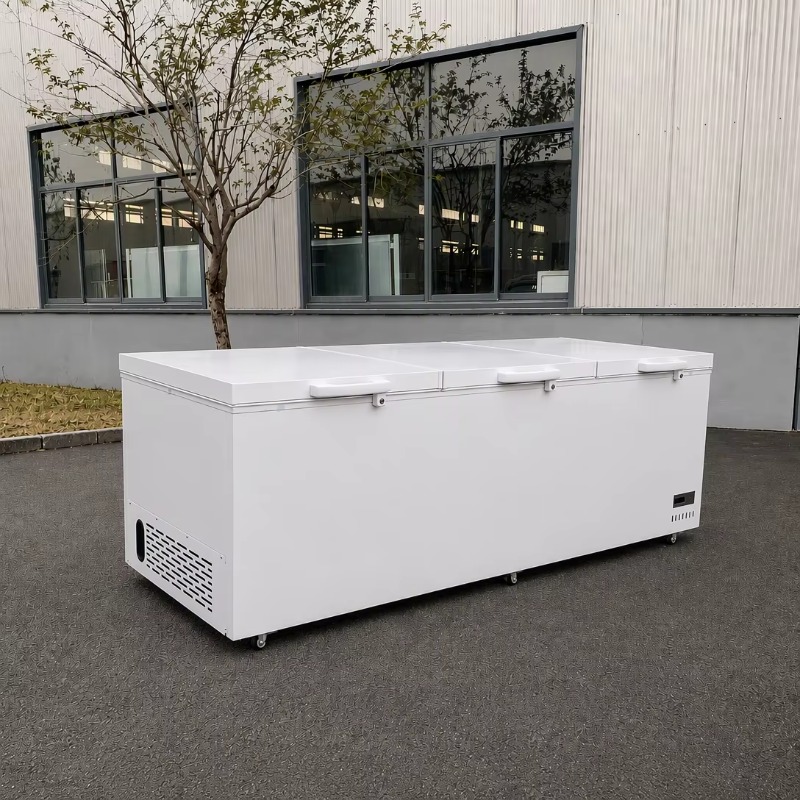 Lemari Pendingin Horizontal Ko - Commercial Chest Freezer ulasan dan harga