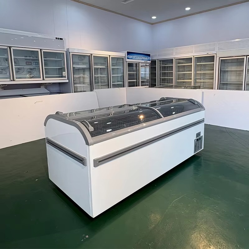 Lemari Pendingin dengan Bagian - Commercial Chest Freezer ulasan dan harga