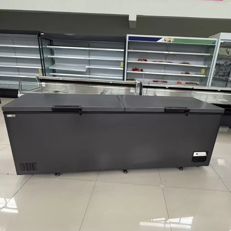 Lemari Pendingin Daging Horizo - Commercial Chest Freezer ulasan dan harga