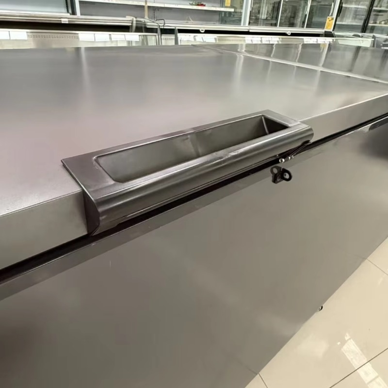 Lemari Pendingin Daging Horizo - Commercial Chest Freezer ulasan dan harga